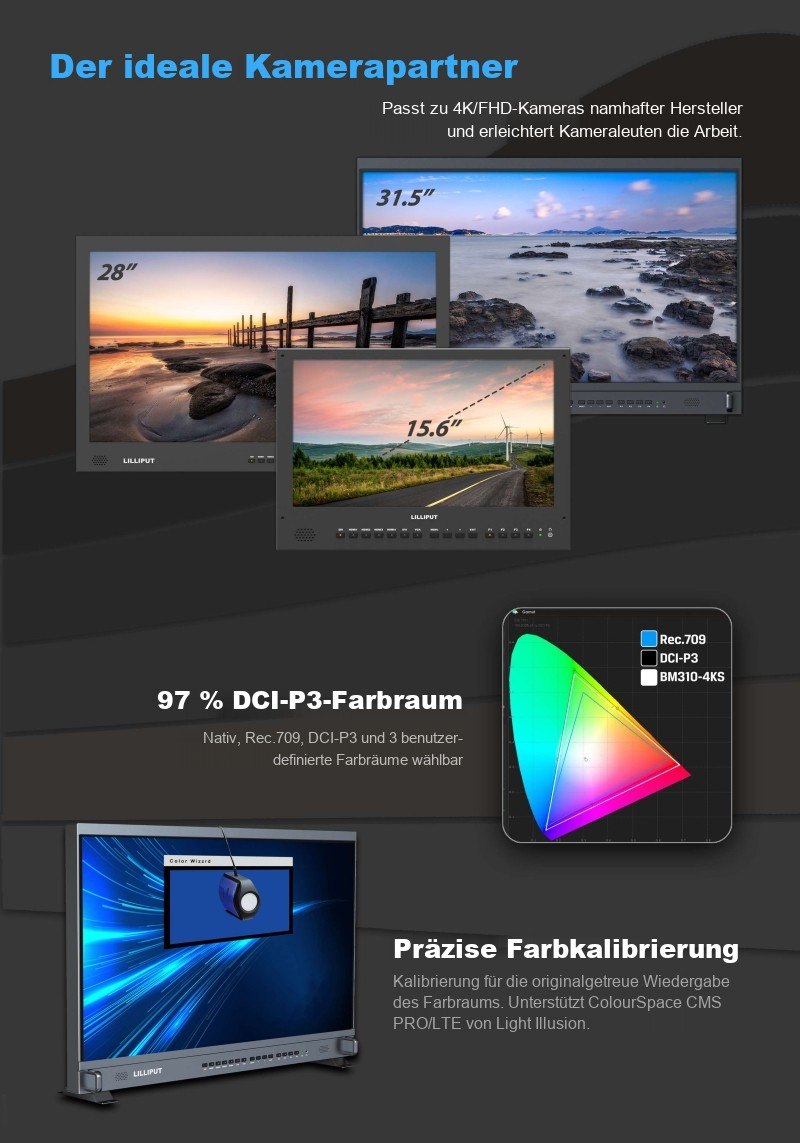 Lilliput BM310-4KS – Infografik 2