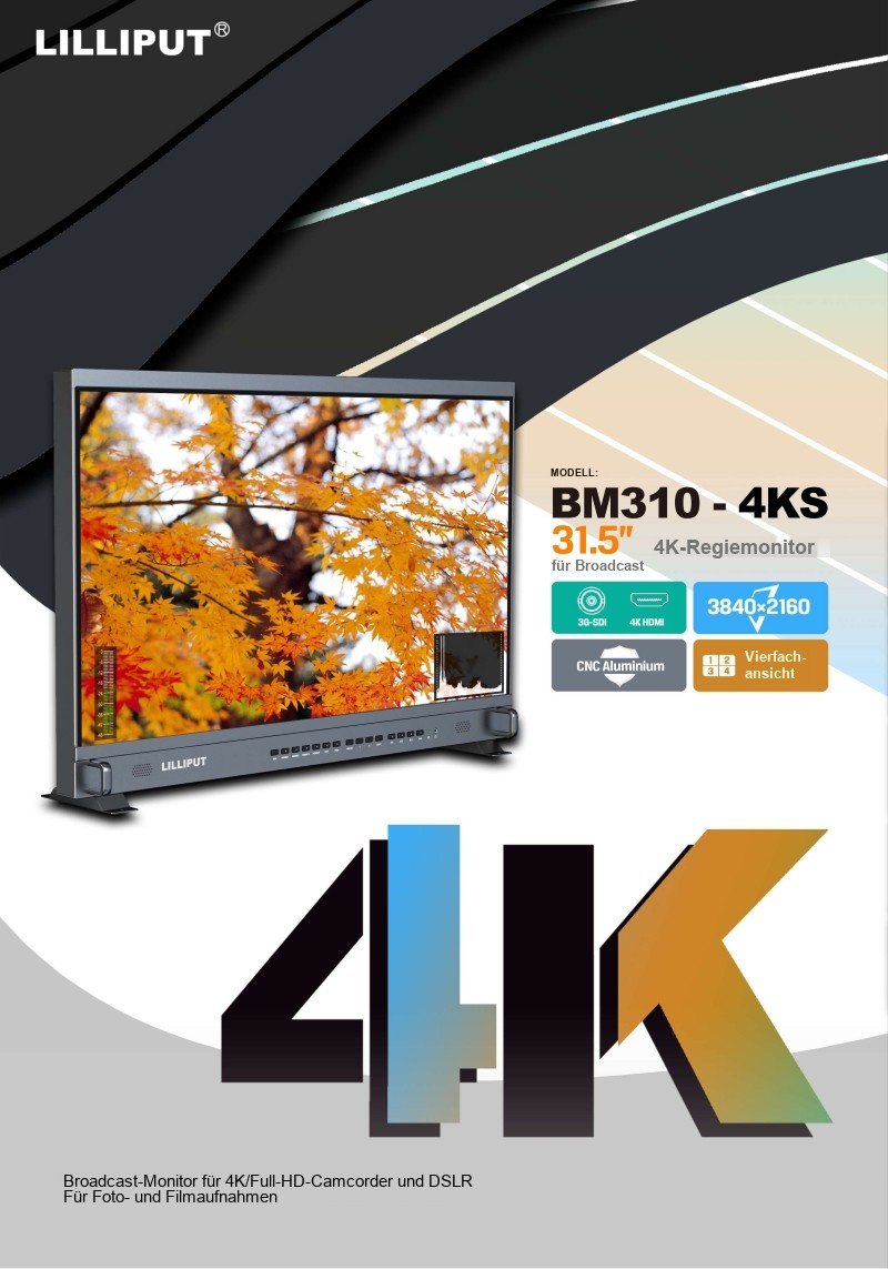 Lilliput BM310-4KS – Infografik 1