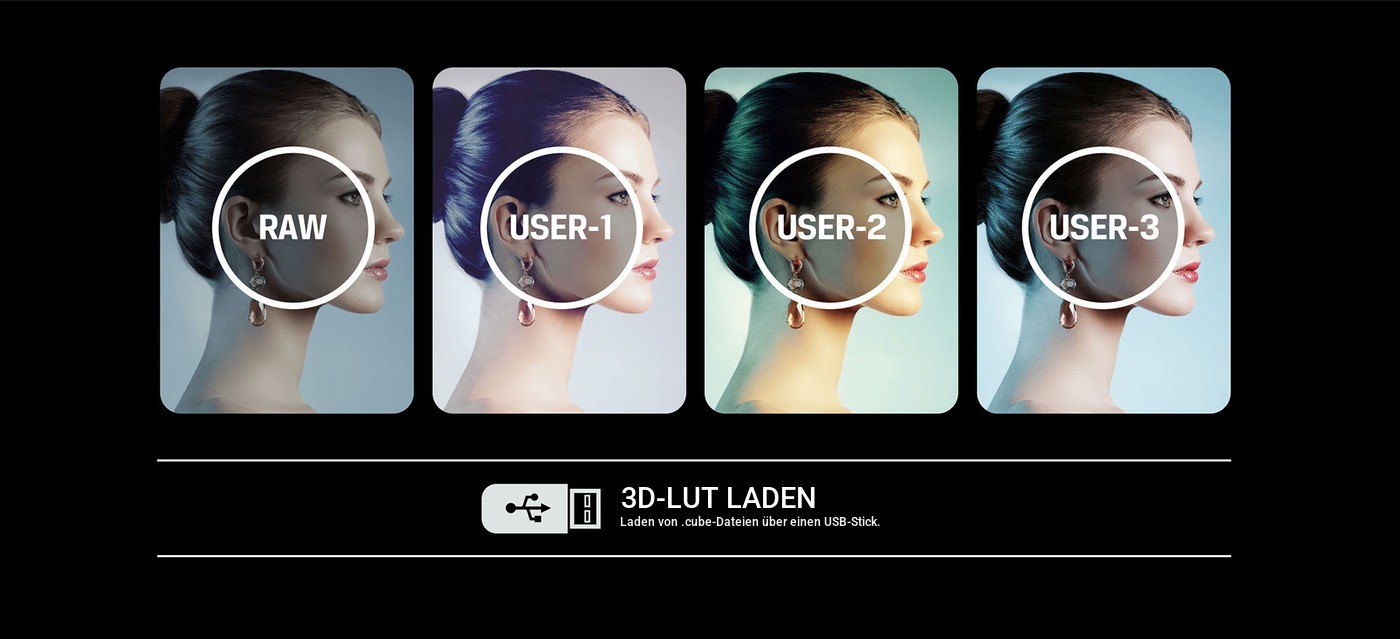 Lilliput BM150-4KS – Infografik 4