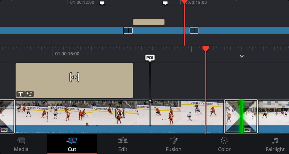 DaVinci Resolve Replay Editor – POI, Run und Dump