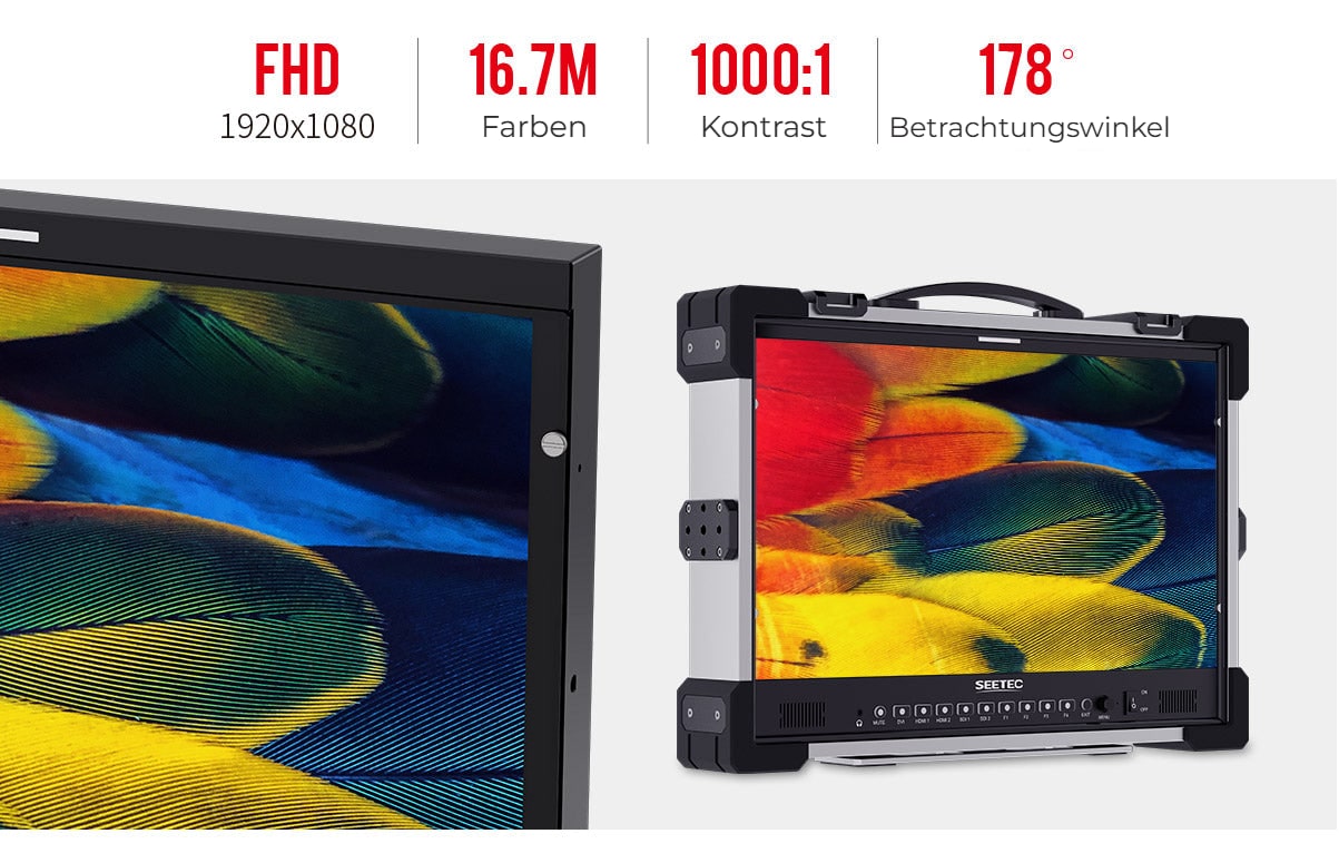 SEETEC P215-PRO-CO