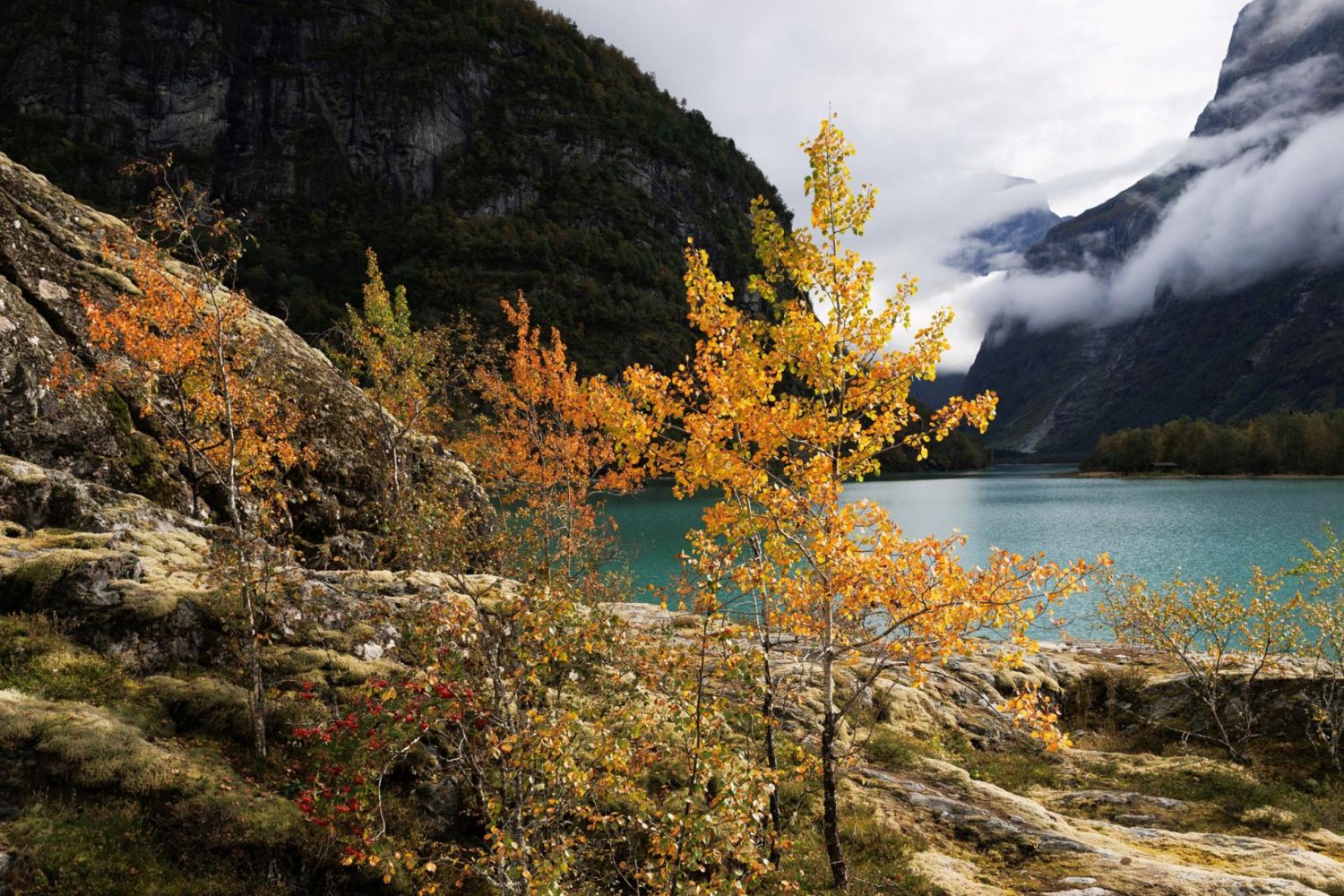 ObjektivTamron vhodn&yacute; pro cestov&aacute;n&iacute; do př&iacute;rody i do hor