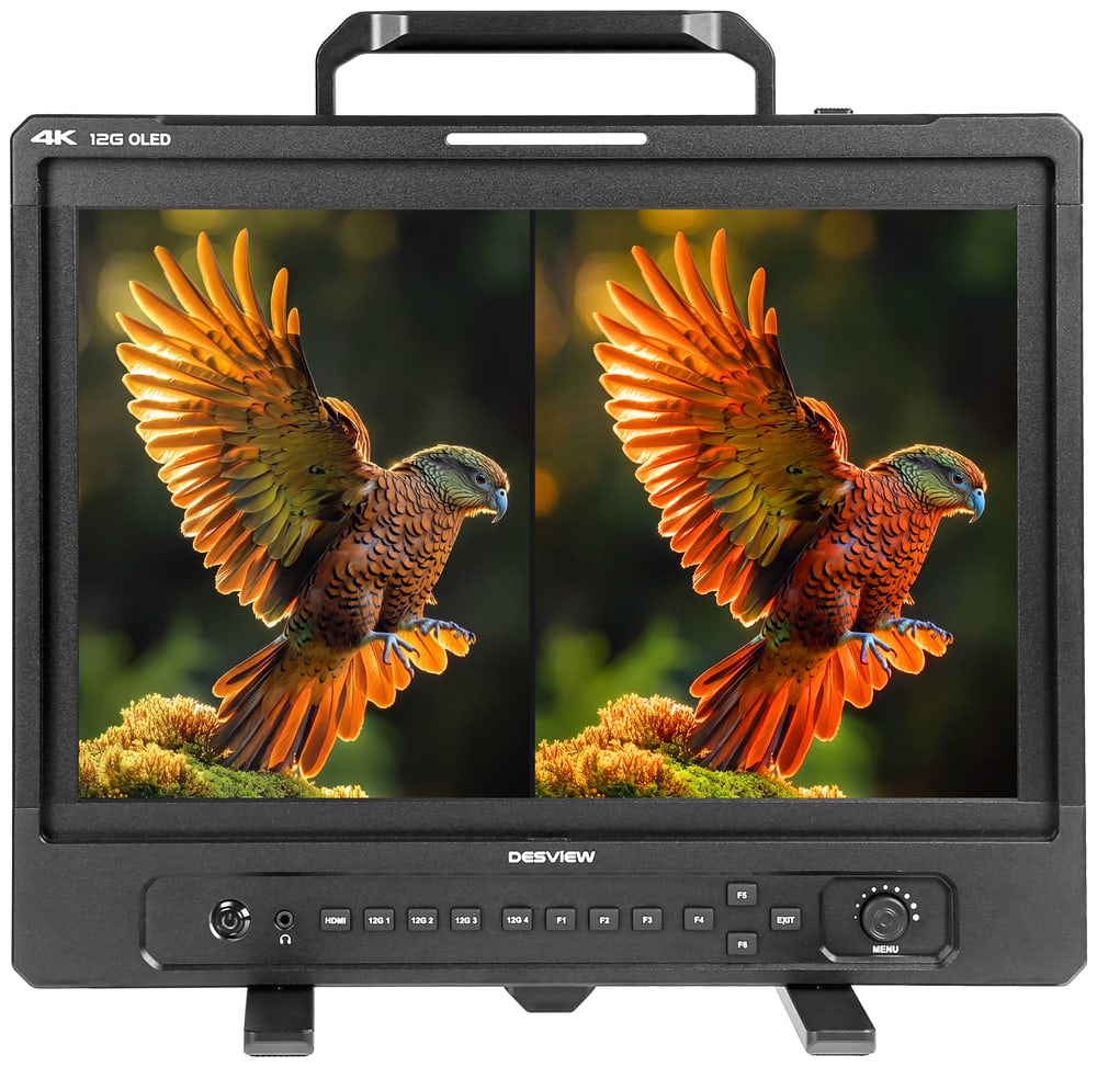 Desview Core OL16 Ultra 12G – Ein Monitor, viele Blickwinkel