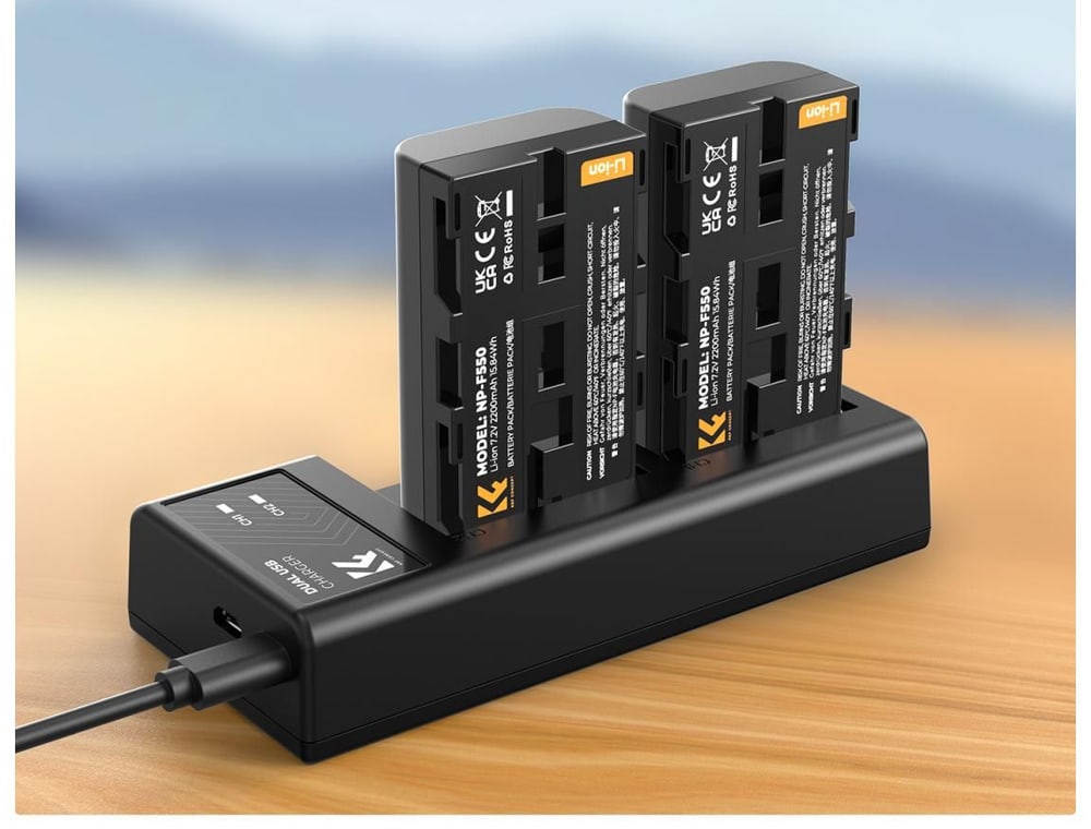 Zwei Akkus mit je 2200 mAh