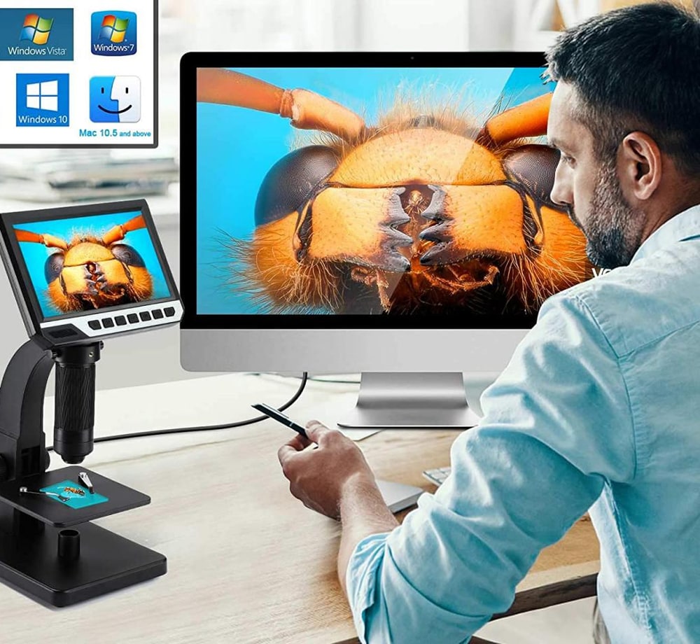 Das Bild auch am Computermonitor