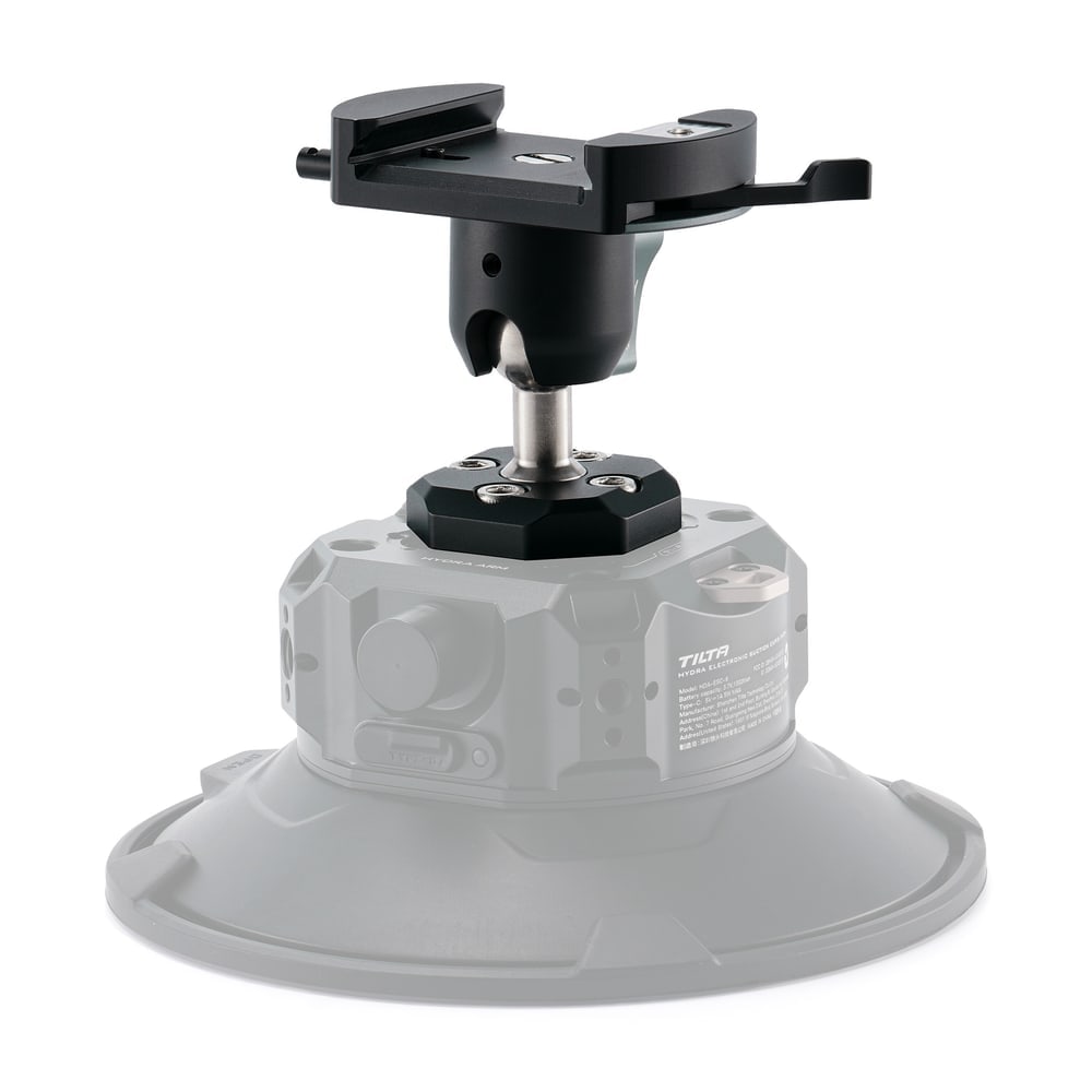 Direkt auf den elektronischen Saugnapf 6″